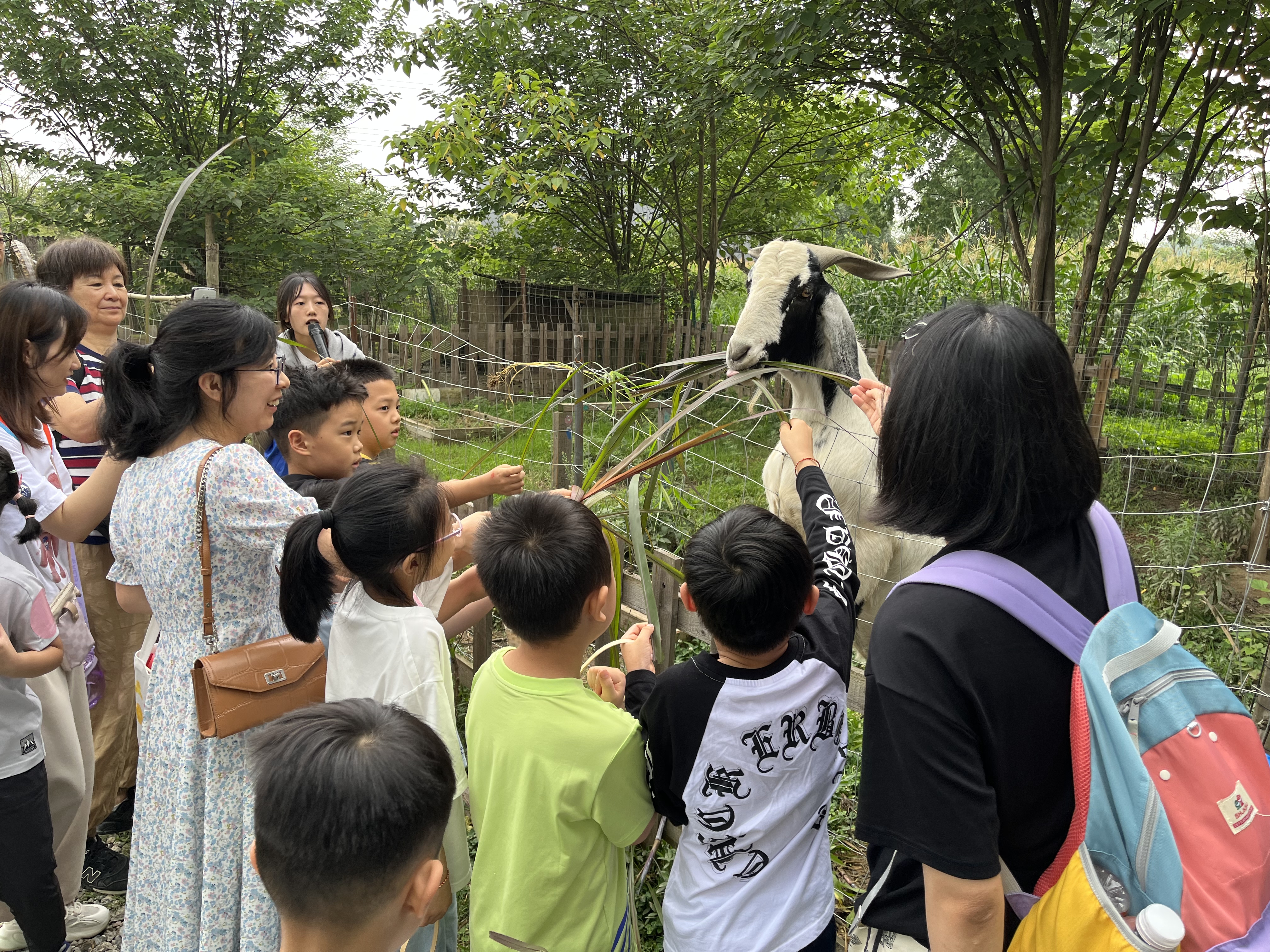微信图片_20230619140523.jpg