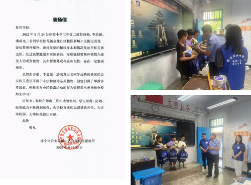图片3.png