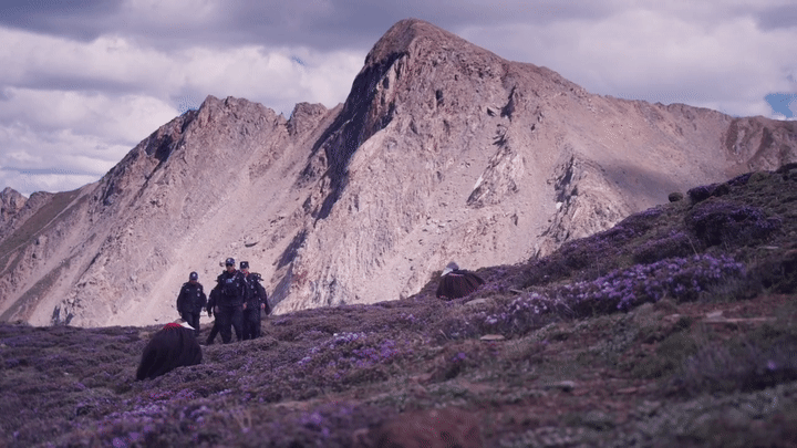 开局海拔超4500米 这支警察队伍的“副本”难度拉满了(图2)