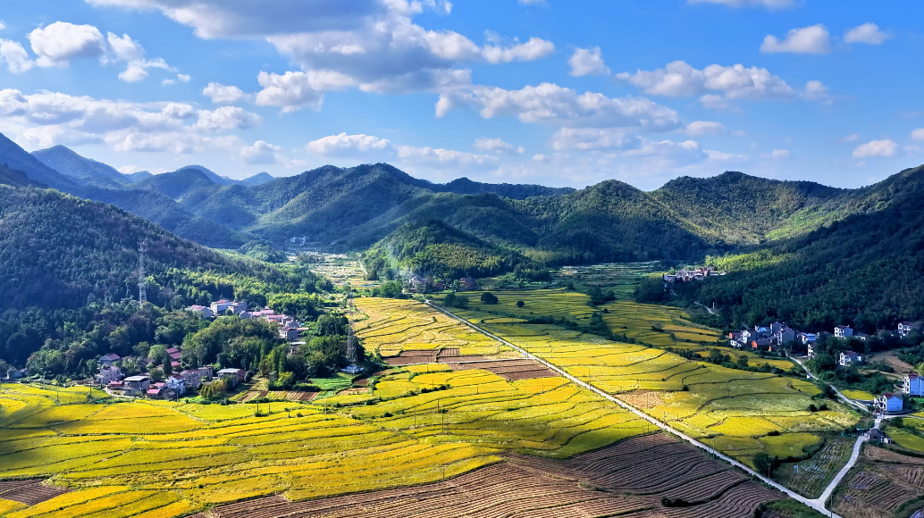 安徽铜陵：山野秋景入画来(图1)