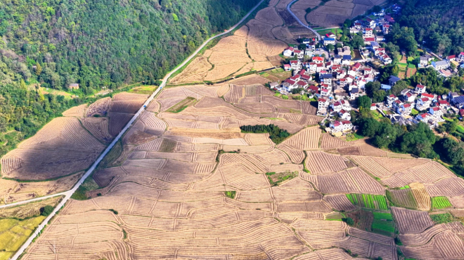 安徽铜陵：山野秋景入画来(图3)
