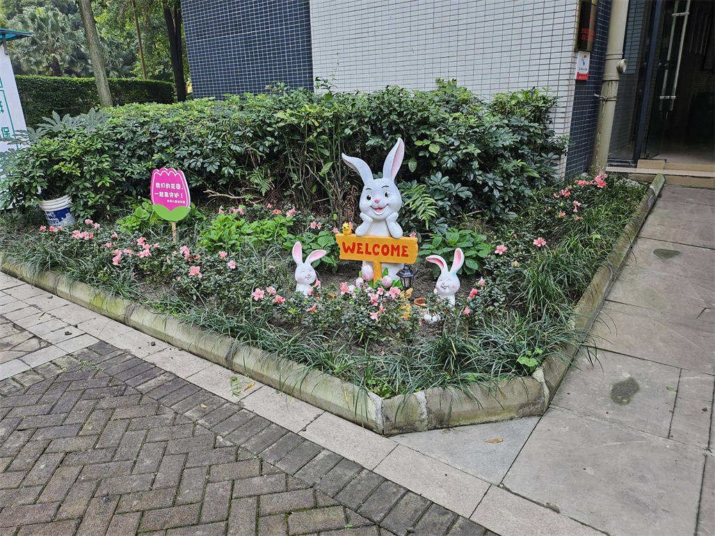 我为小区添把力 | 珠江国际花园小区共创“亲邻微景观” (图7)