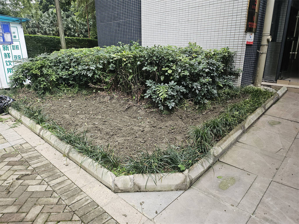 我为小区添把力 | 珠江国际花园小区共创“亲邻微景观” (图2)