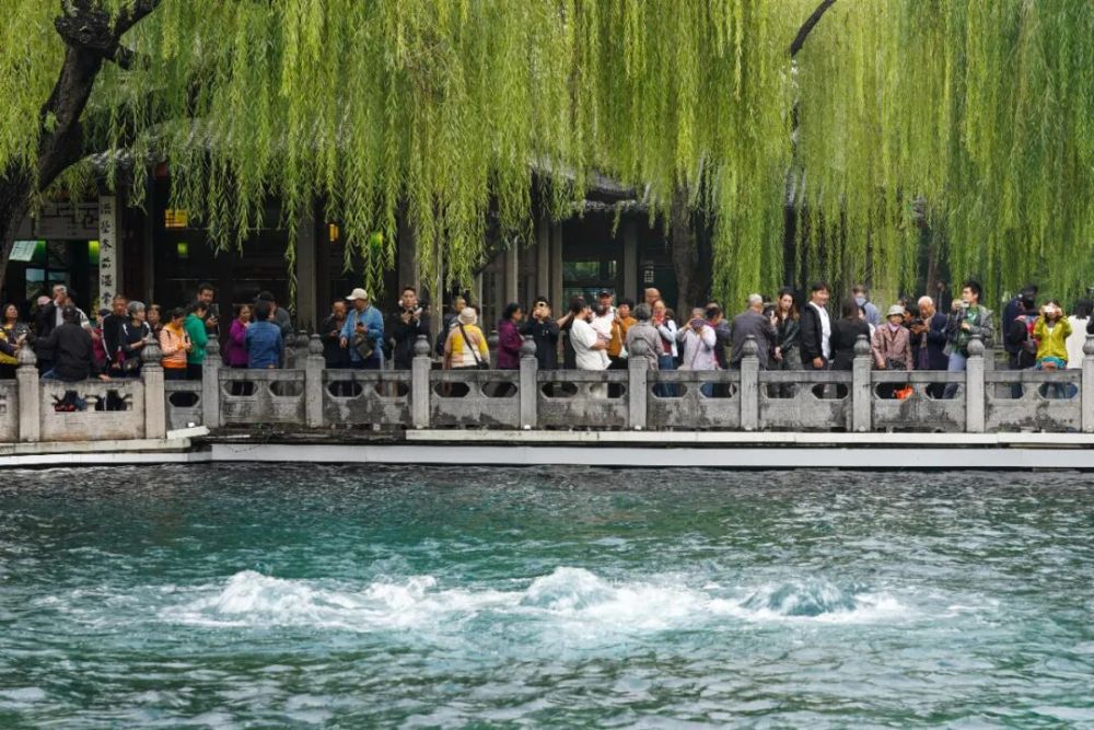 秋日济南，千泉尽欢(图1)