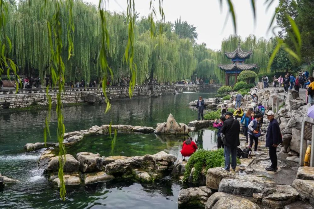 秋日济南，千泉尽欢(图5)