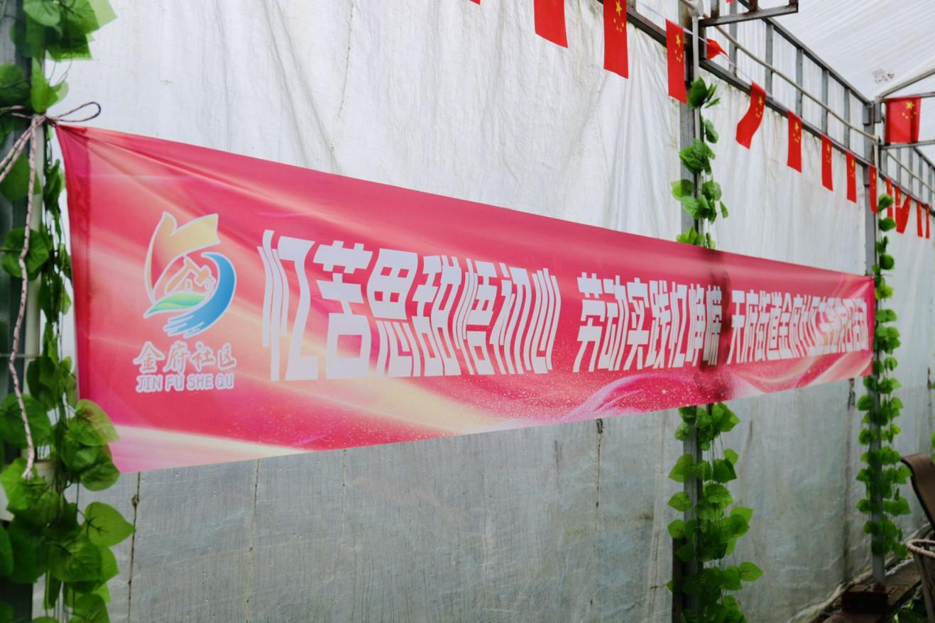 忆苦思甜守初心 劳动实践强党性|金府社区主题党日活动(图1)