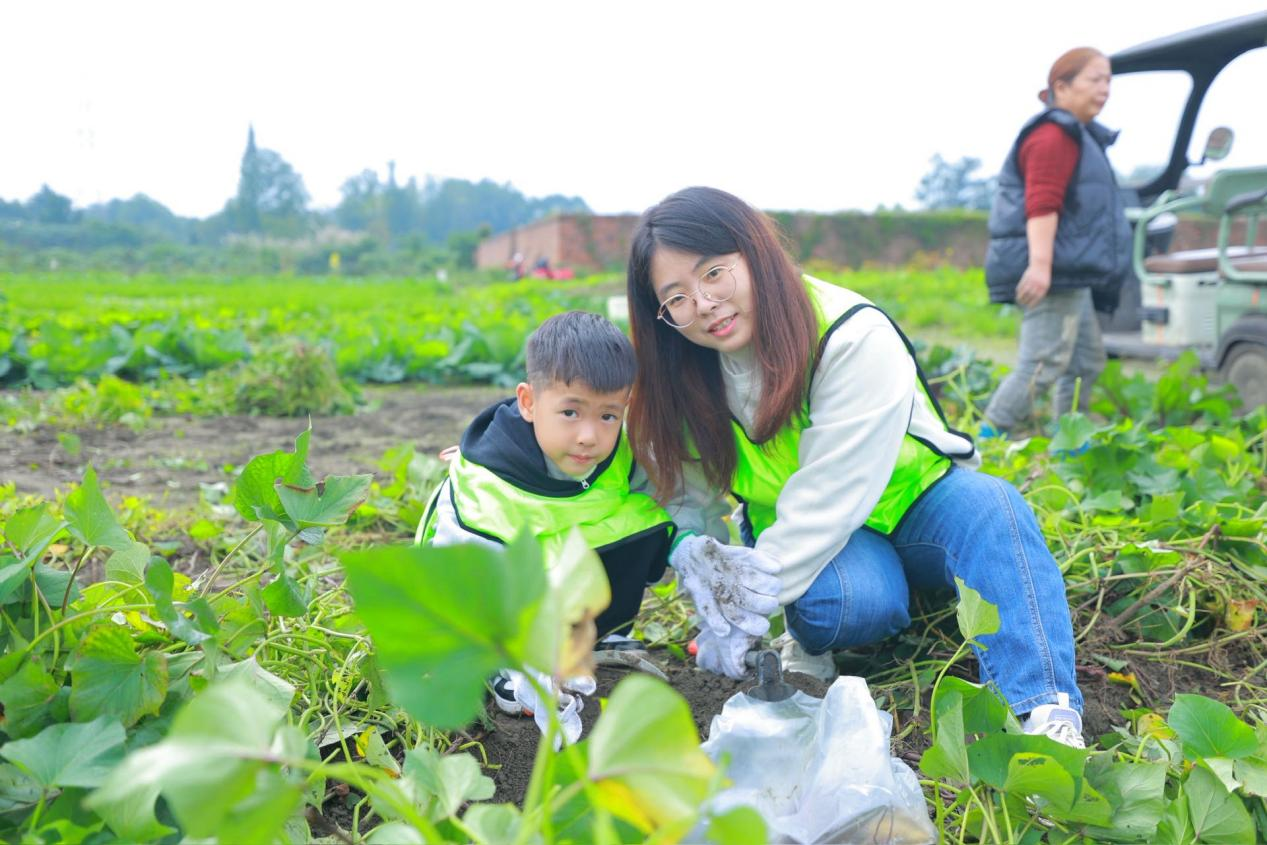 欢乐金秋·“薯”你最棒 金府社区亲子趣味运动会圆满落幕(图8)
