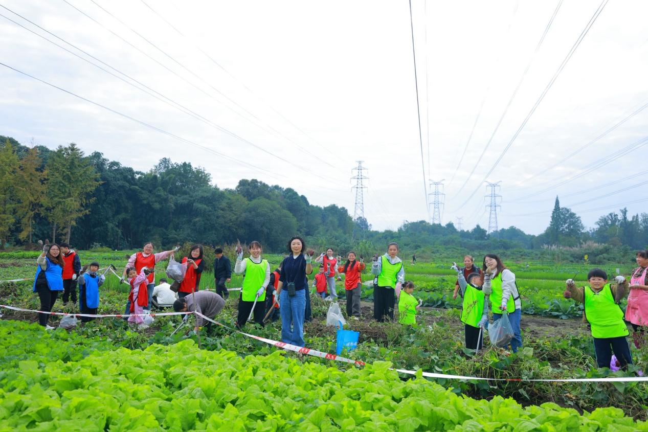 欢乐金秋·“薯”你最棒 金府社区亲子趣味运动会圆满落幕(图10)