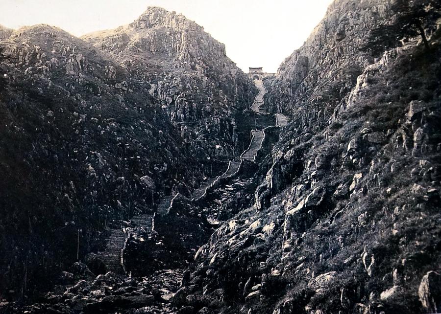 曾经“赤无毛”，如今“青未了”(图1)