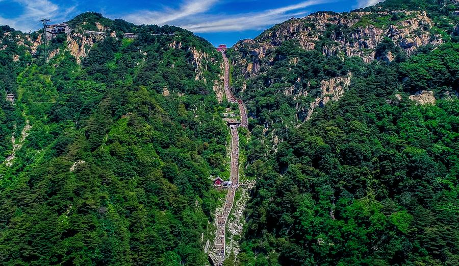 曾经“赤无毛”，如今“青未了”(图2)