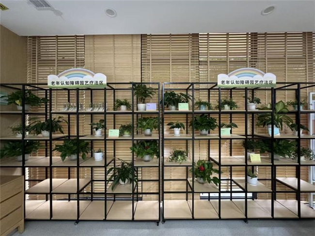 构建三重友好体系：成都市锦江区狮子山街道菱窠社区老年认知障碍友好社区的创新实践(图1)