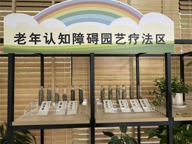 构建三重友好体系：成都市锦江区狮子山街道菱窠社区老年认知障碍友好社区的创新实践(图3)