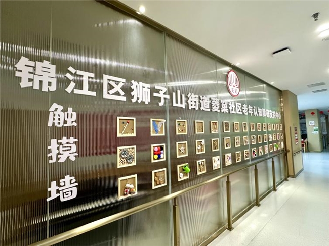 构建三重友好体系：成都市锦江区狮子山街道菱窠社区老年认知障碍友好社区的创新实践(图8)