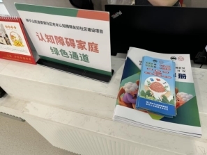 构建三重友好体系：成都市锦江区狮子山街道菱窠社区老年认知障碍友好社区的创新实践(图26)