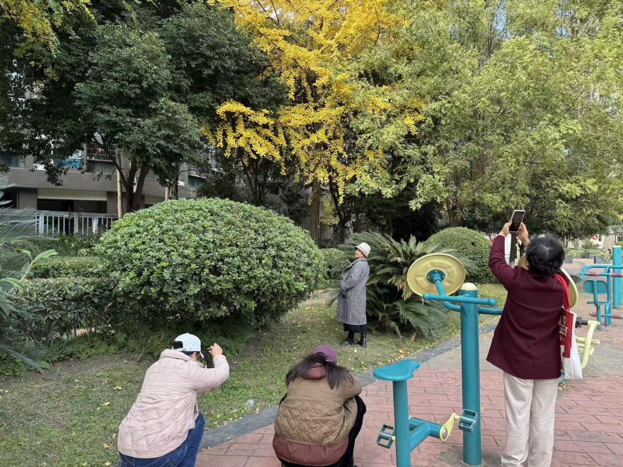 “镜”显家园美·“温”情岁月长|丽晶港社区邻里学堂，定格冬日美好(图6)
