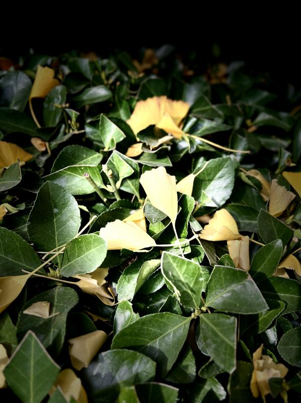 “镜”显家园美·“温”情岁月长|丽晶港社区邻里学堂，定格冬日美好(图7)