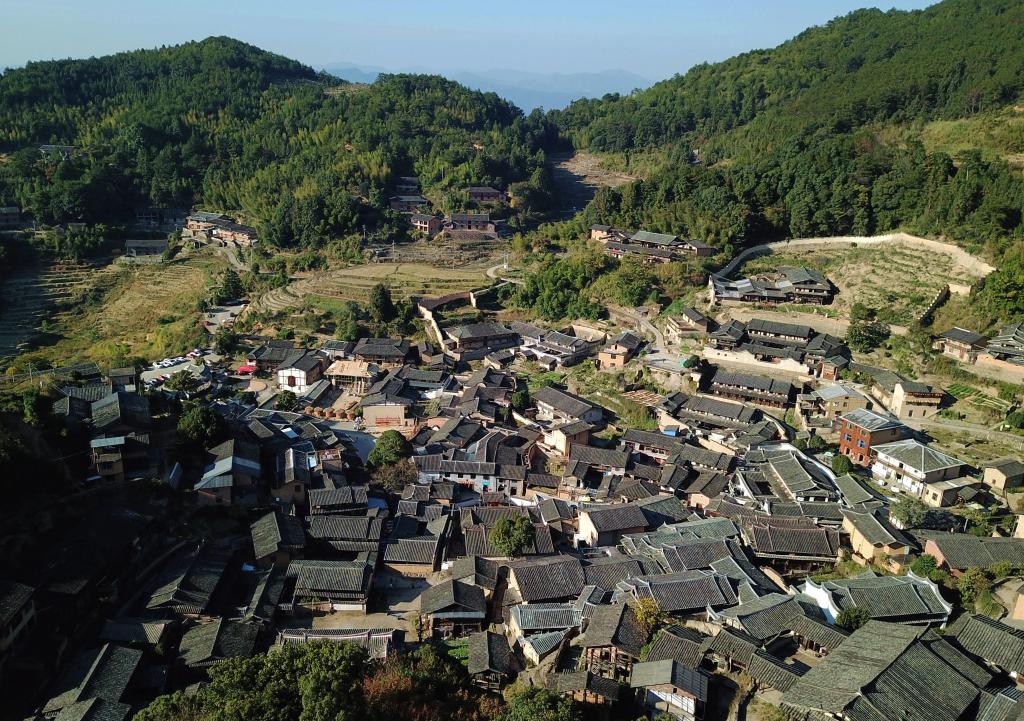 福建桂峰村：古道飘来旧茶香，古村晒出新“风光”(图2)