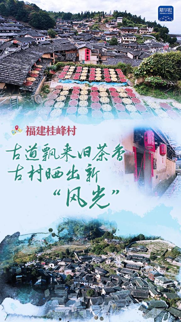福建桂峰村：古道飘来旧茶香，古村晒出新“风光”(图1)