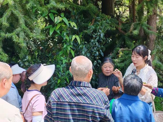 以“低龄”暖“高龄”：“龙溪互助”银发邻里结对计划筑牢乡村养老帮扶网(图1)