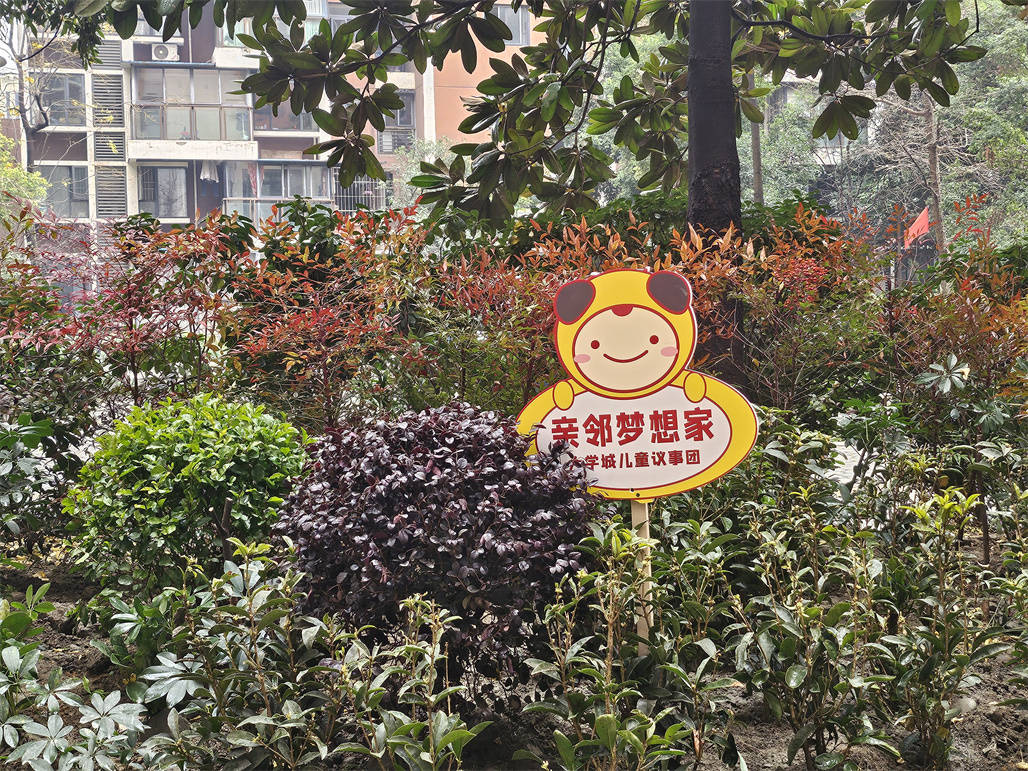  温江区柳城街道大学城社区 我为小区添把力|金强大学城小区“亲邻梦想家”(图6)