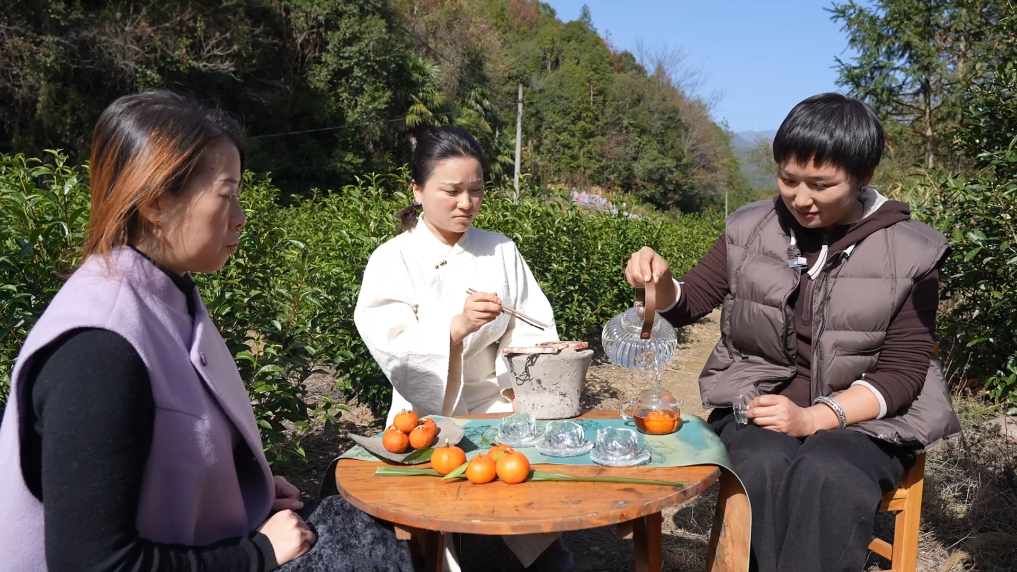 一颗红桔里的产业振兴新图景(图2)