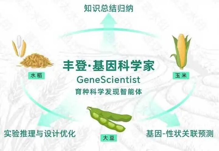 上海农业不只在上海，更在广阔天地(图3)