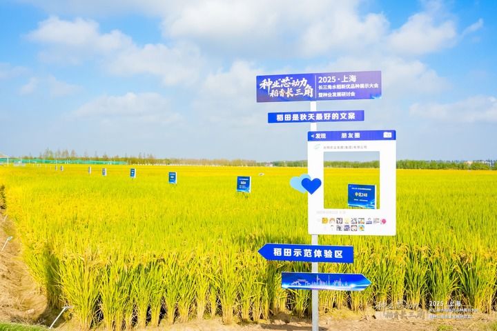 上海农业不只在上海，更在广阔天地(图6)