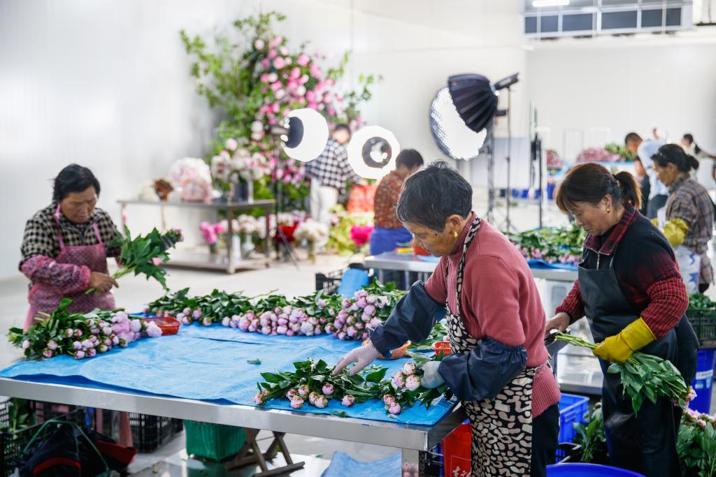 浙江浦江：青年返乡 乡村变样(图2)