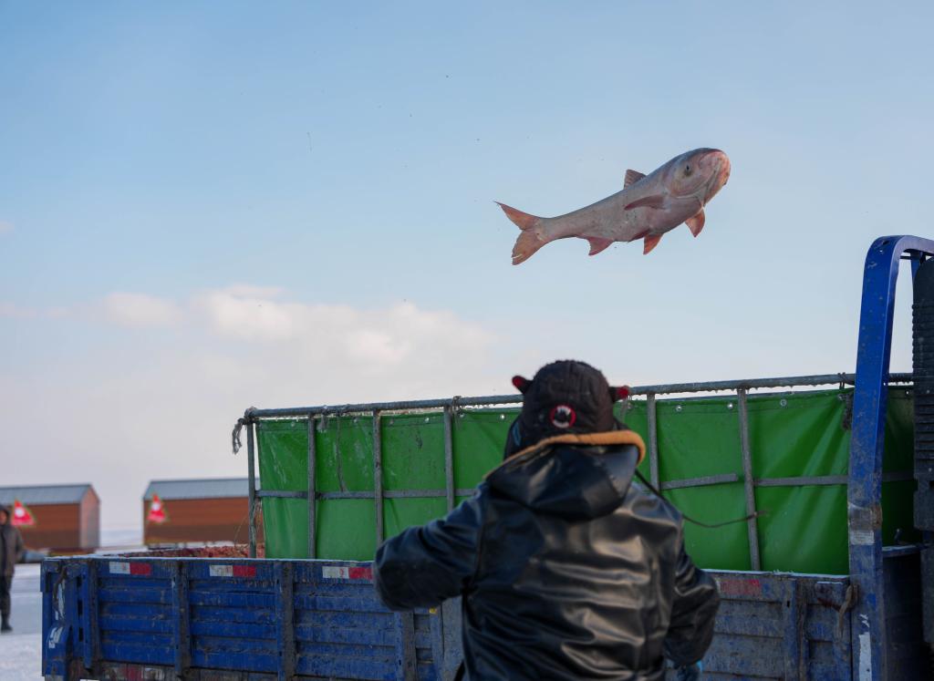 查干湖冬捕文化带动东北小城旅游热(图2)