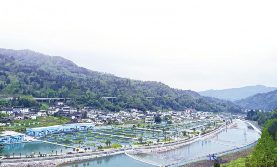 “川字号”农产品明年出口额要破100亿元(图4)