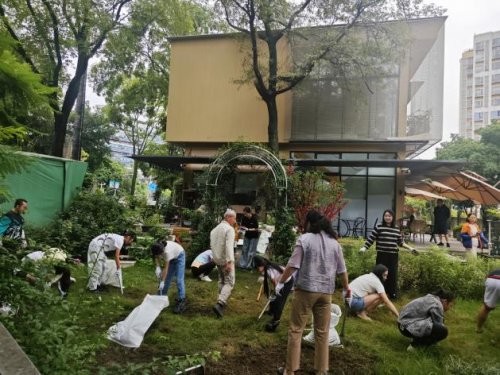 红领巾领航聚合力 友好社区共筑造(图7)