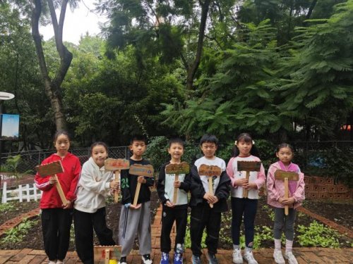 红领巾领航聚合力 友好社区共筑造(图10)