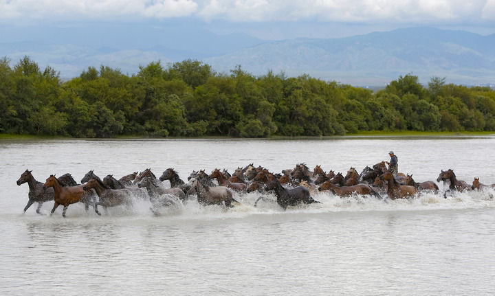 天马出“西极”(图2)
