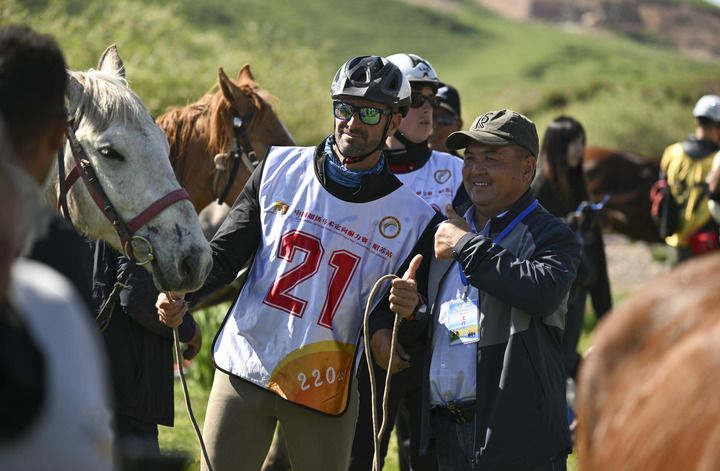 天马出“西极”(图6)