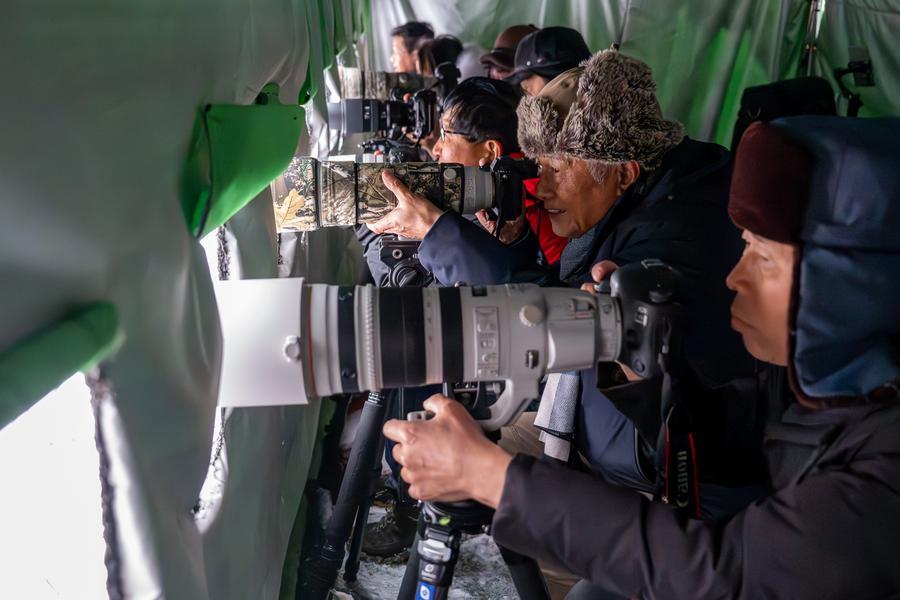 神农架的冬日新图景(图1)