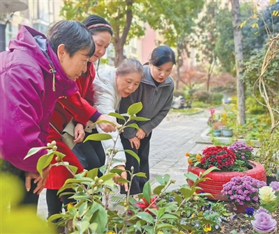 多地在城市工作中下足“绣花功夫”  社区更新 惠民暖心(图2)