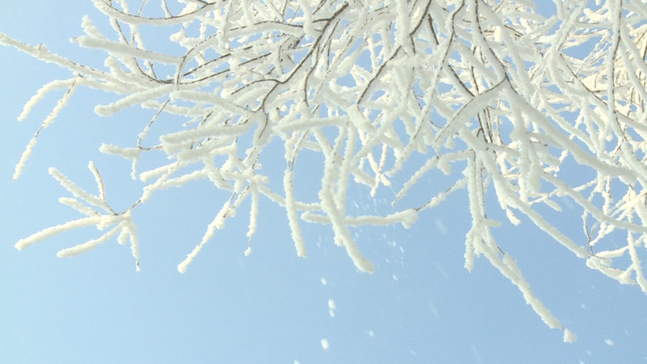 雾凇里的“冰雪童话”(图2)