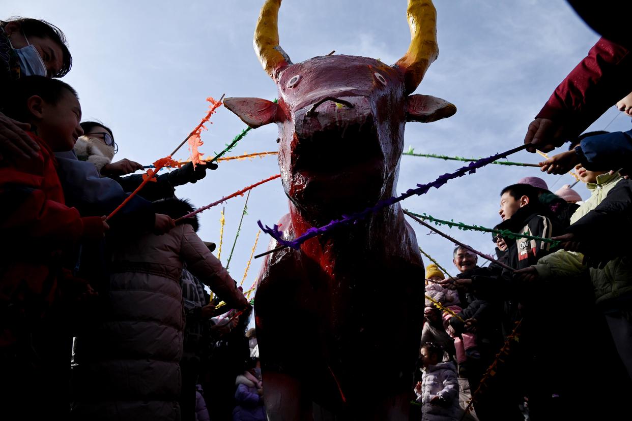 多彩活动迎新春(图1)