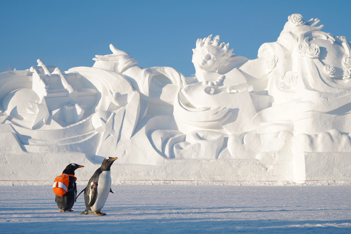 和“街（gāi）溜子”一起逛冰城(图7)