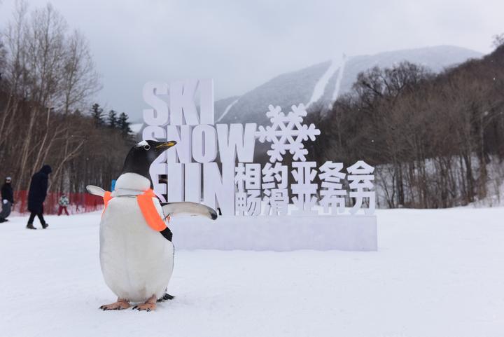 和“街（gāi）溜子”一起逛冰城(图8)