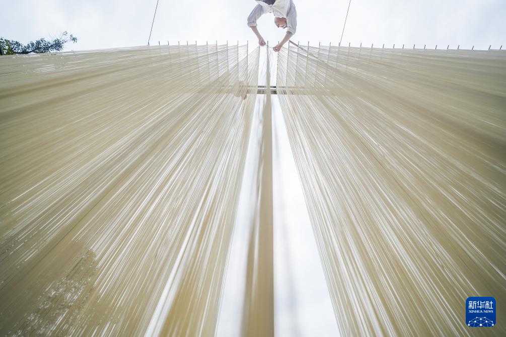 四川德阳：挂面拉出乡村振兴路(图2)