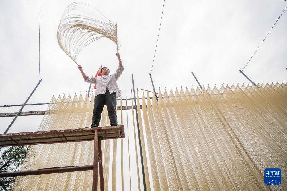 四川德阳：挂面拉出乡村振兴路(图3)