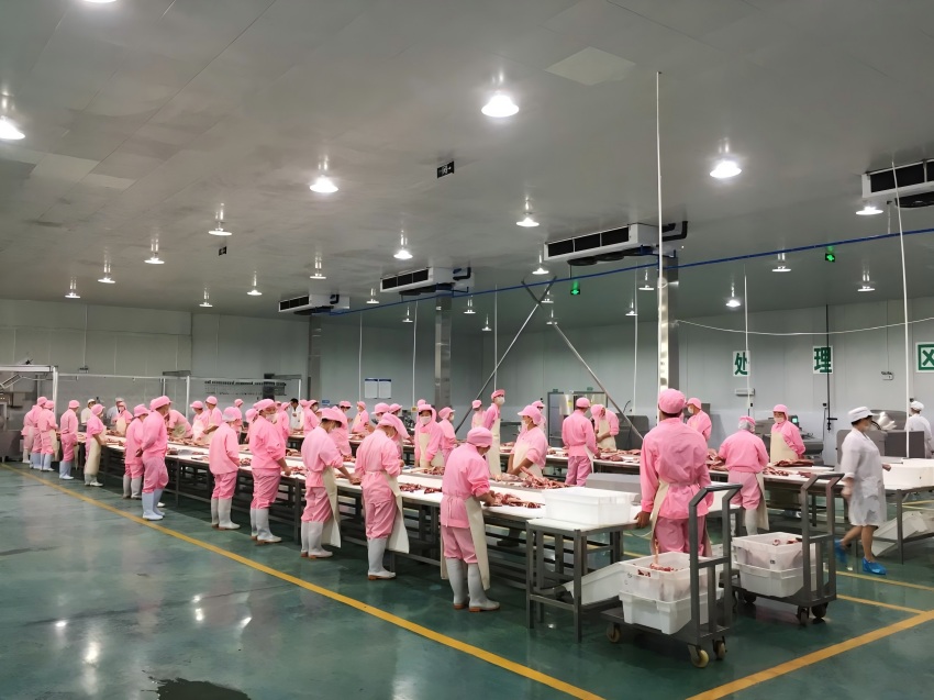 四川德健南江黄羊食品有限责任公司屠宰加工线。受访者供图
