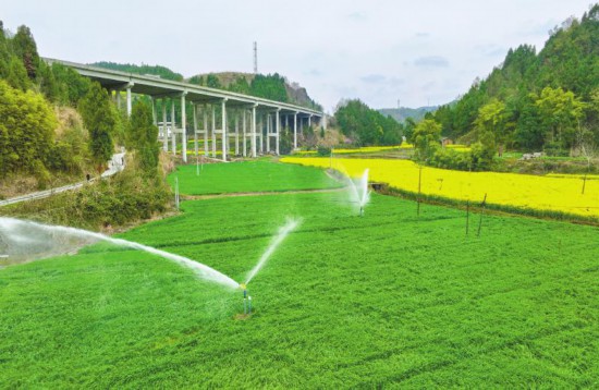 农资到位 用水充足 四川春耕“百日攻坚”蓄势待发(图1)