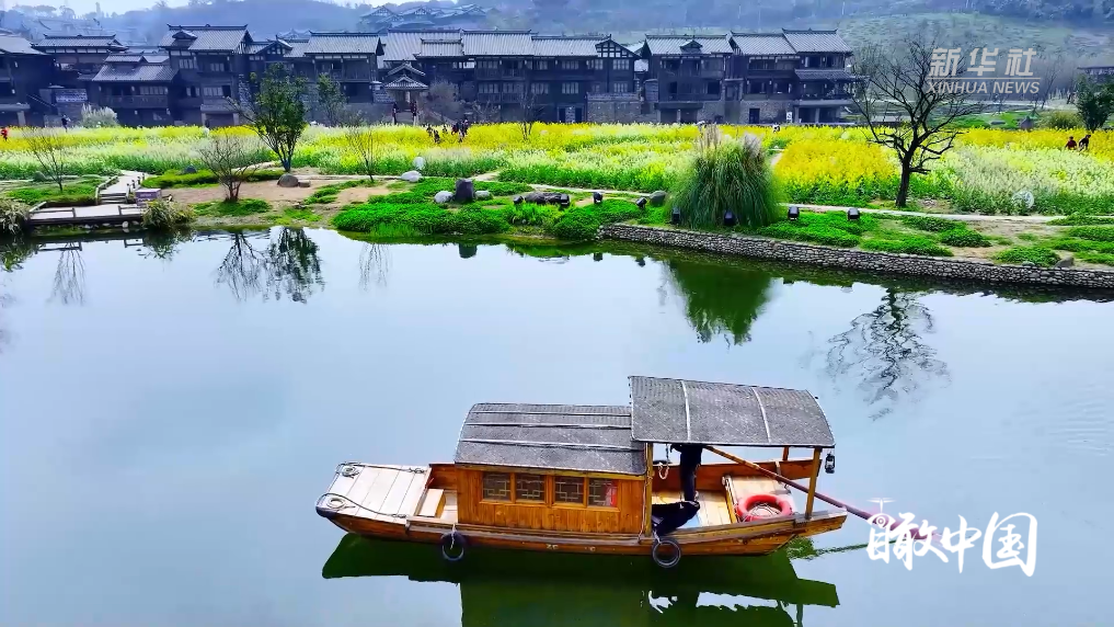 赴一场彩色油菜花的春日之约(图2)