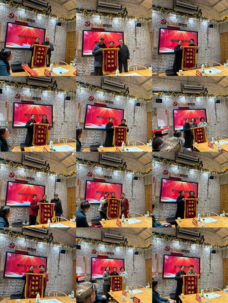 “微光聚五丁”——社区微创投项目赋能居民自治实践(图4)