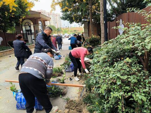 “微更新”撬动“大自治”金壁社区绘就同心共筑新画卷 (图3) “微更新”撬动“大自治”金壁社区绘就同心共筑新画卷 (图3)