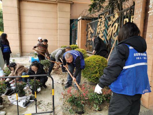 “微更新”撬动“大自治”金壁社区绘就同心共筑新画卷 (图4) “微更新”撬动“大自治”金壁社区绘就同心共筑新画卷 (图4)