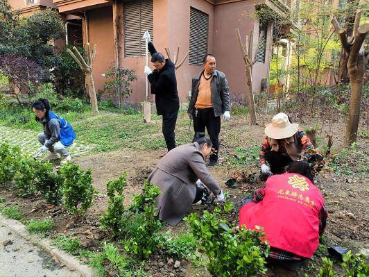 “微更新”撬动“大自治”金壁社区绘就同心共筑新画卷 (图6) “微更新”撬动“大自治”金壁社区绘就同心共筑新画卷 (图6)