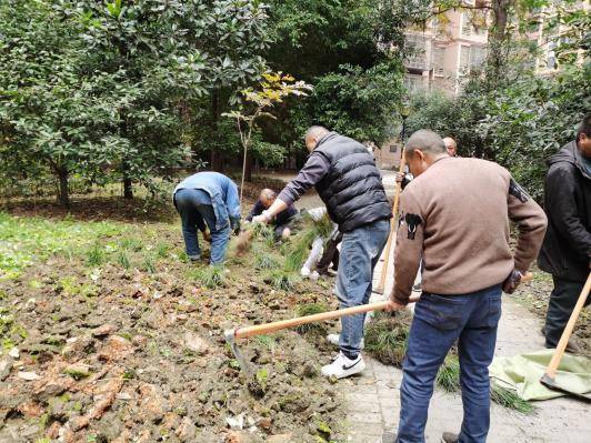 “微更新”撬动“大自治”金壁社区绘就同心共筑新画卷 (图5) “微更新”撬动“大自治”金壁社区绘就同心共筑新画卷 (图5)